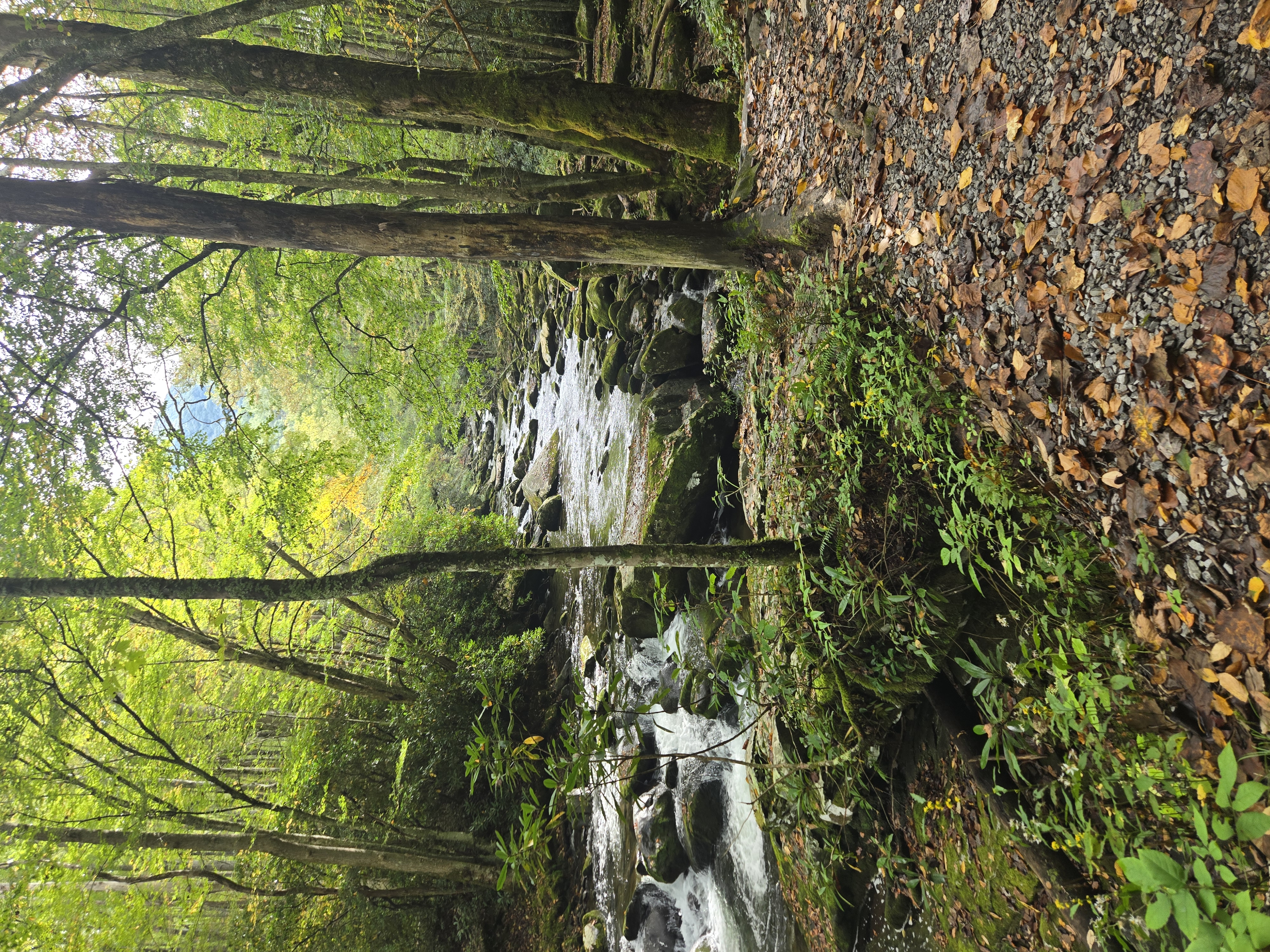 Great Smoky Mountains